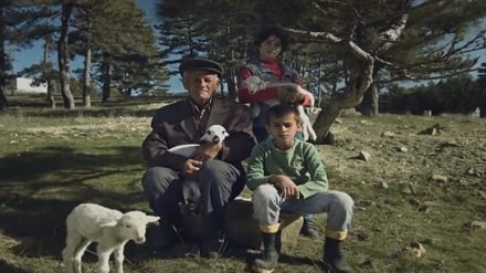 Şekerbank—Aile-Çiftliği